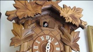 23 cuckoo bird calls in 50 seconds  Cuckoo Clock Coo Cooquot Compilation [upl. by Honig434]