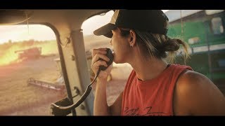 Wheat Harvest 2018 Zeka Farms [upl. by Ahsikal]