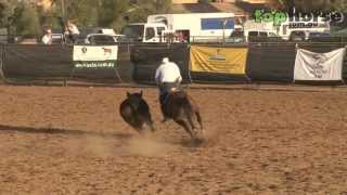 ASH National Show 2013  Open Campdraft [upl. by Engedi]