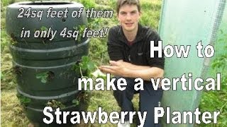 How to Build a Vertical Strawberry Tower  24 Plants in 4sq Feet [upl. by Pacificia968]