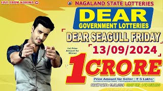 DEAR SEAGULL FRIDAY WEEKLY 8 PM ONWARDS DRAW DATE 13092024 NAGALAND STATE LOTTERIES [upl. by Anwahsed]