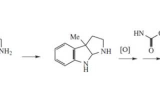 Physostigmine  Wikipedia audio article [upl. by Nitsej]