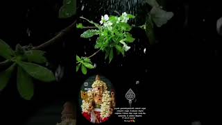 om enum pranava manthira kandhane song God murugan whatsapp status tamil songs [upl. by Donohue]