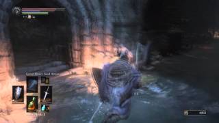 DARK SOULS 3 illusory wall CATACOMBS of CARTHUS [upl. by Novelc73]