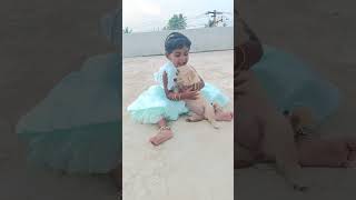 Ainu happy annachi tamil song cute music anirudhsong doglover [upl. by Yesnil625]