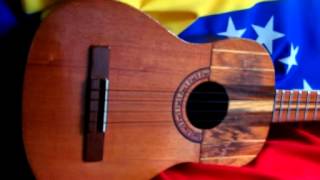 La canciòn del llano que el gobierno no quiere que se oiga [upl. by Eberto624]