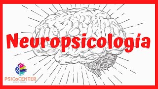 NEUROPSICOLOGÍA ¿Qué es ¿Cuáles son sus ámbitos de acción y competencias [upl. by Marylou237]