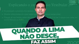 Quando a LIMA NÃO DESCE faz assim [upl. by Bertle568]