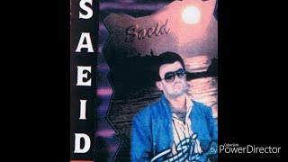 Saeid Por Saeid geryaye ashegh سعید پور سعید گریه عاشق [upl. by Retrac921]