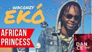 eko by waconzy official audio [upl. by Ittocs964]