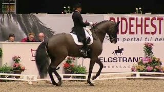 Dorothee Schneider amp Sammy Davis JrHerning CDI3 2017 [upl. by Barkley988]