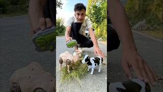 Rc Remote Control Camel 🐪 With Cow ki unboxing 🔥 [upl. by Mctyre]