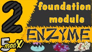 foundation module  Enzyme lecture 2 [upl. by Rugg630]