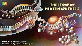 The Story Of Protein Synthesis [upl. by Sullivan]