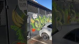 REWE Neu Isenburg Fassadenkunst Wandmalerei Graffiti Stylewriting Artwork 2023 [upl. by Oreste]