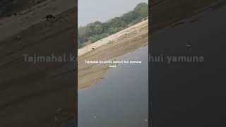 Taj Mahal Ke Piche bahti Hui Yamuna nadi🕌🏞️ song music newsong [upl. by Angell320]