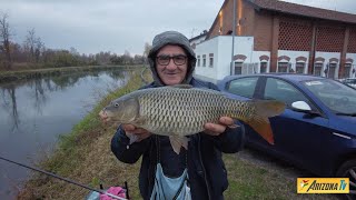 MONDO PESCA UN TRANQUILLO LUNEDI DI PESCA  CARPE CON CANNA FISSA E BOLOGNESE  CANALE MUZZA LODI [upl. by Fannie]