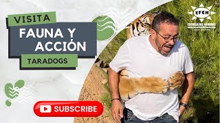 Visitas Guiadas  Taradogs en Fauna y Acción [upl. by Undis]