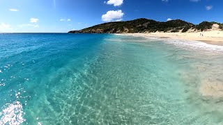 Saint Barth Saline beach Idyllic beach in the Caribbean Tropical island Perfection best beach [upl. by Memberg]