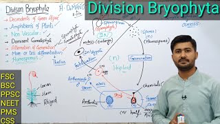 92 Bryophytes  Life cycle of Bryophytes  Alternation of generation  Fsc MDCAT NEET Ppsc and CSS [upl. by Nasho]