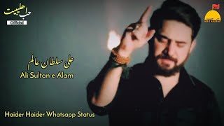 Haider HaiderFarhan Ali Waris Noha LyricsAli Sultan e AalamNoha Lyrics [upl. by Jung]