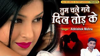 दिल तोड़ के  Tum Chale Gaye Dil Tod Ke  Hindi Sad Songs  PYAR MOHABBAT BEWAFA का सबसे दर्द भरा गीत [upl. by Ahseer]