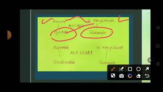 Protein metabolism Transamination reaction Transamination biochemistry [upl. by Low]