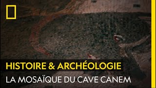 La mosaïque du Cave Canem lune des oeuvres antiques les plus célèbres de lhistoire [upl. by Hardden]