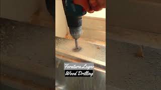 Foratura Legno Wood Drilling faidate tooltips diy [upl. by Burne76]