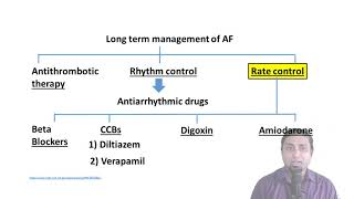 Digoxin in Atrial Fibrillation and Atrial Flutter [upl. by Treboh]