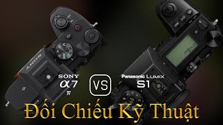 Sony A7 IV và Panasonic Lumix S1 Một Đối Chiếu Về Thông Số Kỹ Thuật [upl. by Nicoline392]