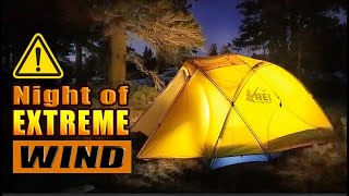 Solo Camp in 80 100 MPH WIND STORM at Carson Pass  Sierra Nevada Mountains [upl. by Hagood]