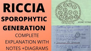 SPOROPHYTE IN RICCIACOMPLETE EXPLANATIONbotany bsc [upl. by Leahsim721]