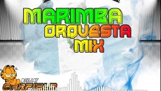 Mix Marimbas Orquestas Vol 1 [upl. by Uzia528]