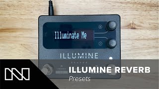 ILLUMINE Reverb  Using Presets [upl. by Timms]