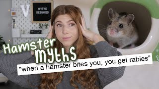 Debunking Hamster Myths [upl. by Azrim16]