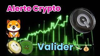 Top CRYPTO Pépite Alerte valider  PEPE  FLOKI  DOGE  BABYDOGE  Felicitation aux Gagnant [upl. by Beattie]