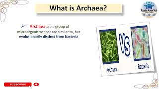 what is archaea archaea microbiology raqbamicrohub [upl. by Rodie]