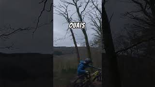 QUAND TU DOIS PORTER UN VTTAE  ebike vtt enduro mountainbike downhill freeride [upl. by Ecadnak]