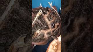 Hairstyles youtubeshorts tutorial pique coiffure haitiantiktok braid coiffureadomicile hair [upl. by Annahsohs]