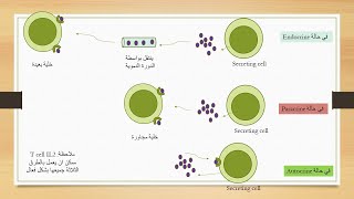 Cytokines and Chemokines السيتوكينات والكيموكينات [upl. by Ronni]