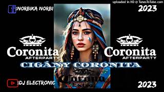 🎲🔥CIGÁNY CORONITA🔥🎲 2023 DJ ELECTRONIC [upl. by Nguyen]