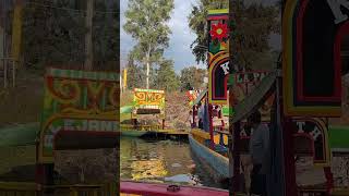 Antiquities and floating boats shorts mexico [upl. by Gregg]