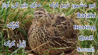 made batair ki awaz [upl. by Suiradel523]