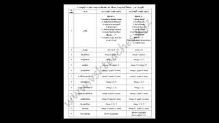 TN 11th and 12th 2 Mid term test November original syllabus portion 2024 for education department [upl. by Rafaello108]