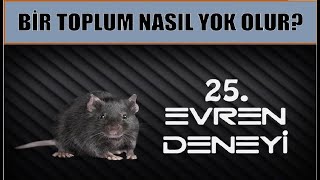 25 EVREN DENEYİ [upl. by Kloster]