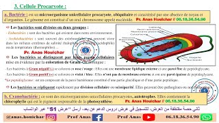 Biologie Cellulaire BCG S1  Chapitre I  Généralités 2ème Partie شرح بالدارجة [upl. by Laurita]