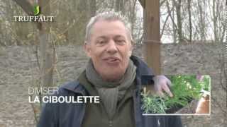 Calendrier du jardinier au potager avril 12  Truffaut [upl. by Atiuqahc]