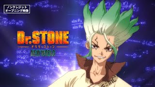 TVアニメ『DrSTONE NEW WORLD』第1クールOP＜ワスレガタキ＞ノンクレジット映像 [upl. by Goddard]