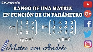 Rango de una matriz en función de un parámetro por determinantes 01 [upl. by Remos]